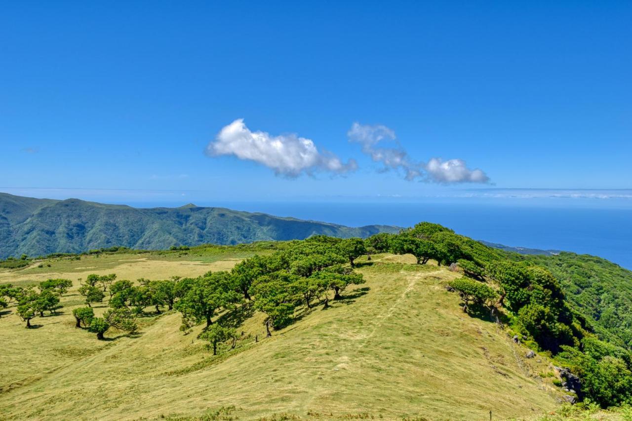 Encarnacao Apartment, A Home In Madeira فونشال المظهر الخارجي الصورة
