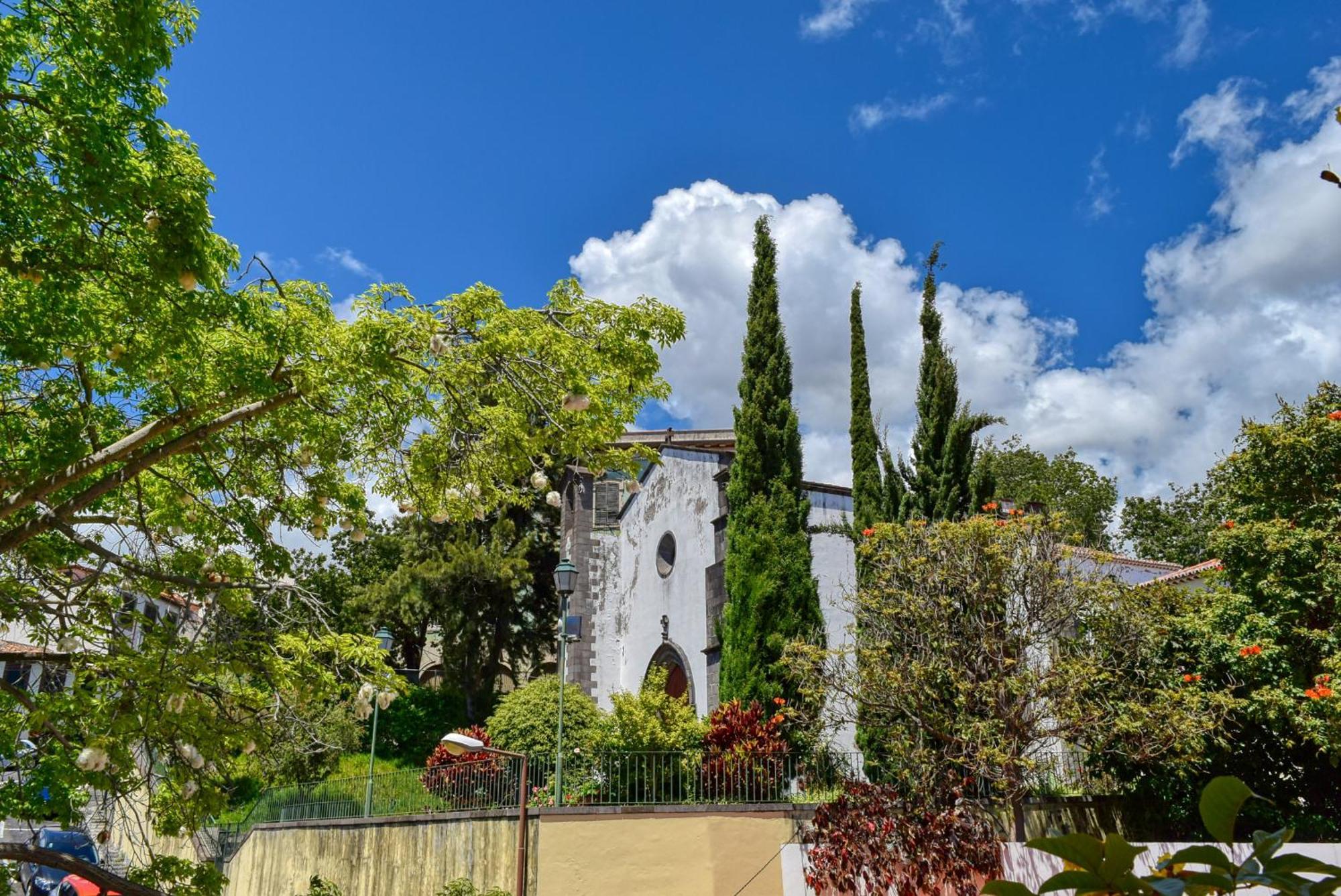 Encarnacao Apartment, A Home In Madeira فونشال المظهر الخارجي الصورة